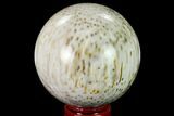 Polished Petrified Palmwood (Palmoxylon) Sphere #167622-1
